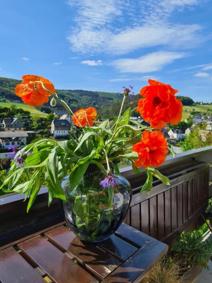 Panoramablick Willingen Schwalefeld Apartment Exterior photo