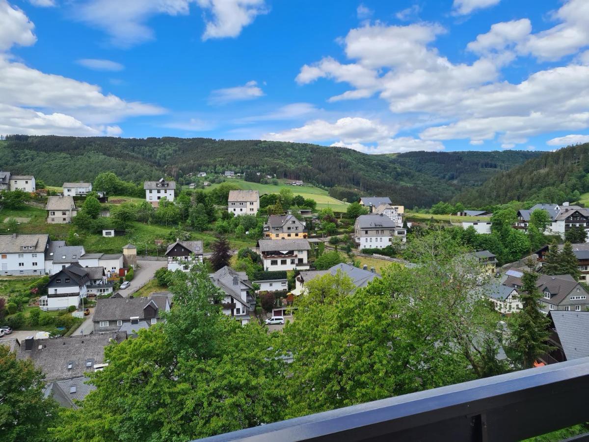 Panoramablick Willingen Schwalefeld Apartment Exterior photo