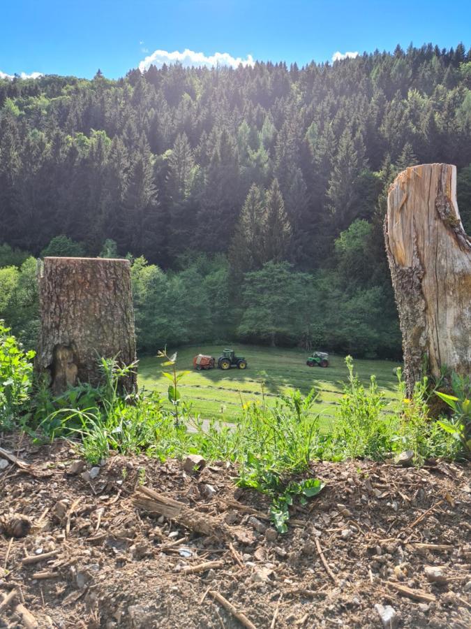Panoramablick Willingen Schwalefeld Apartment Exterior photo